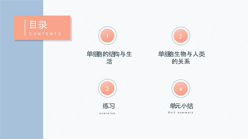 2.2.4 单细胞生物  课件  2021-2022学年人教版七年级生物上册02