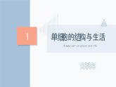 2.2.4 单细胞生物  课件  2021-2022学年人教版七年级生物上册