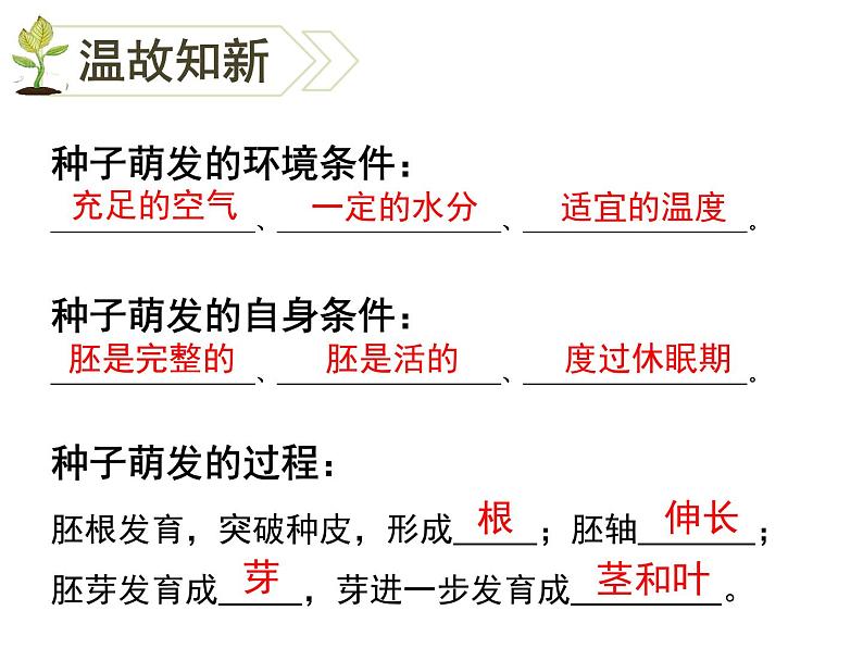 人教版七年级上册  3.2.2植株的生长课件第1页