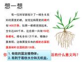 人教版七年级上册  3.2.2植株的生长课件