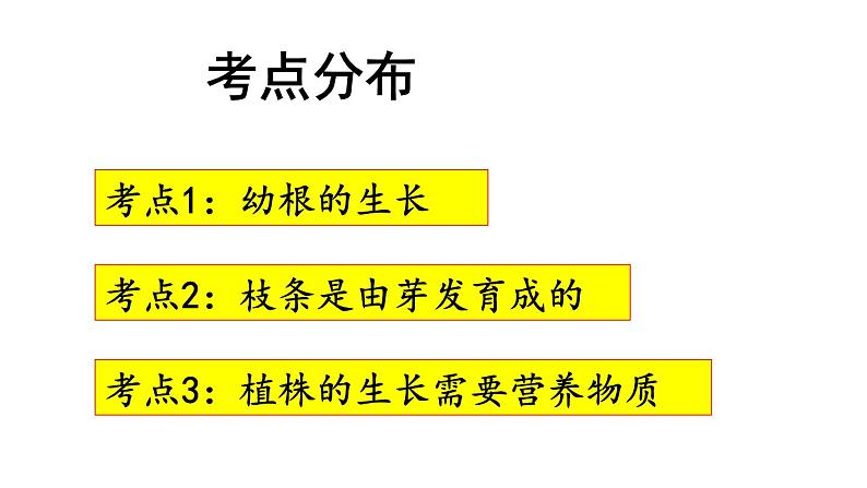 人教版七年级上册3.2.2《植株的生长》复习课课件02