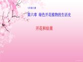 3.2.3开花和结果 课件（20张PPT）2021--2022学年人教版生物七年级上册