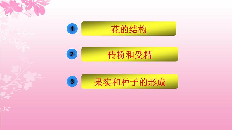 3.2.3开花和结果 课件（20张PPT）2021--2022学年人教版生物七年级上册02