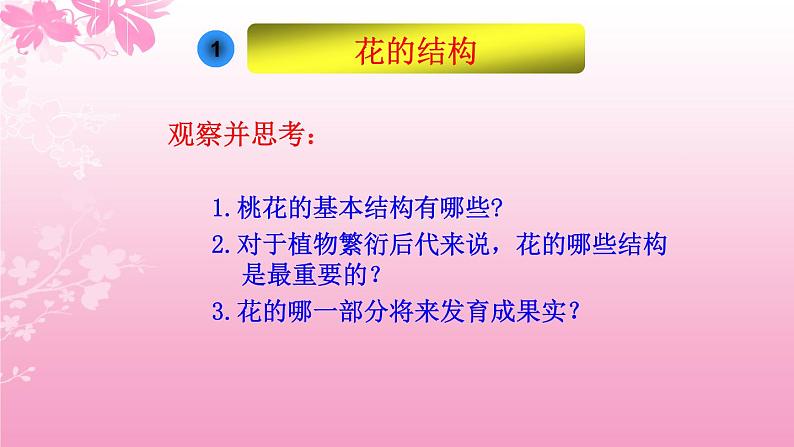 3.2.3开花和结果 课件（20张PPT）2021--2022学年人教版生物七年级上册03