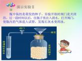 人教版七年级上册3.5.2绿色植物的呼吸作用 课件