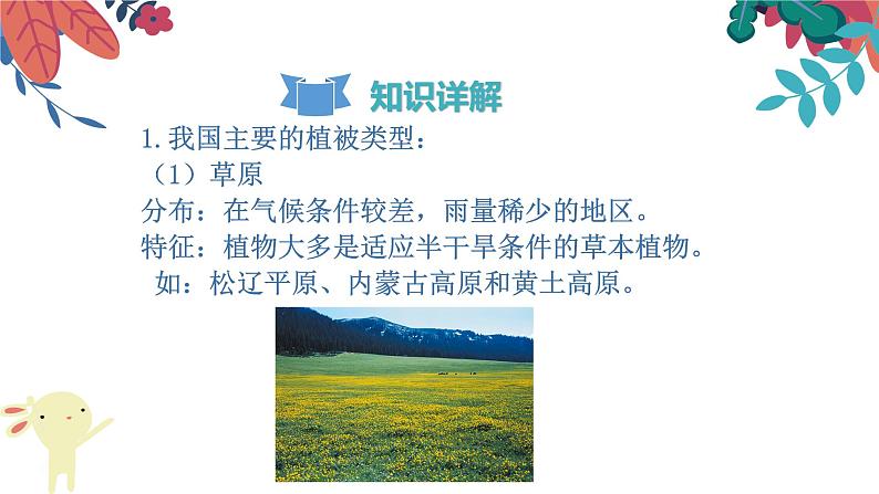 3.6  爱护植被，绿化祖国  复习课件  2021-2022学年人教版七年级生物上册06