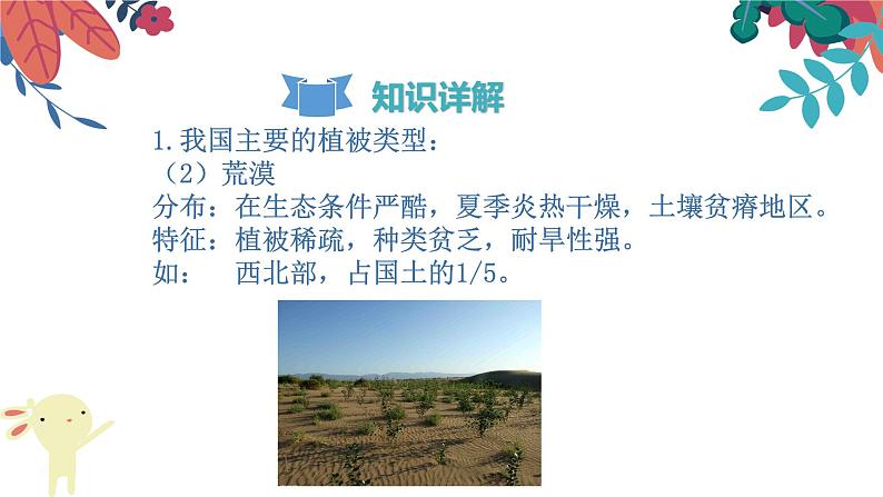 3.6  爱护植被，绿化祖国  复习课件  2021-2022学年人教版七年级生物上册07