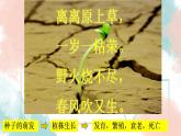 3.2.1 种子的萌发  课件2021--2022学年人教版生物七年级上册