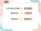 3.2.1 种子的萌发  课件2021--2022学年人教版生物七年级上册