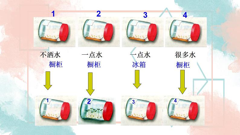 3.2.1 种子的萌发  课件2021--2022学年人教版生物七年级上册第5页