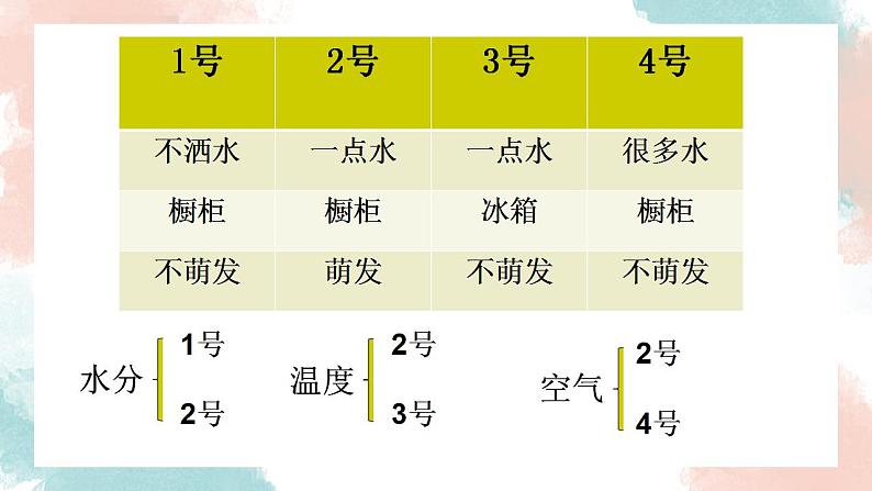 3.2.1 种子的萌发  课件2021--2022学年人教版生物七年级上册第6页