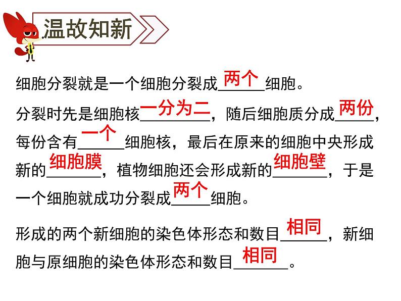 人教七年级上册 2.2.2 动物体的结构层次课件01