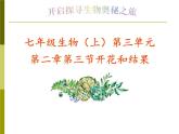 3.2.3开花和结果  课件  2021-2022学年人教版七年级生物上册