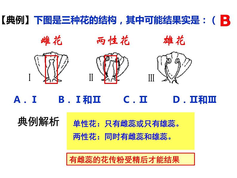 3.2.3开花和结果  课件  2021-2022学年人教版七年级生物上册第8页