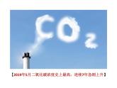 人教版七年级上册 1.2.3 生物圈是最大的生态系统 课件