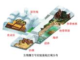 人教版七年级上册 1.2.3 生物圈是最大的生态系统 课件