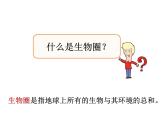 人教版七年级上册 1.2.3 生物圈是最大的生态系统 课件