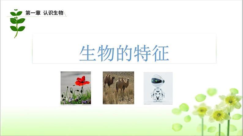 人教版七年级生物上册教学课件   1.1.1生物的特征01