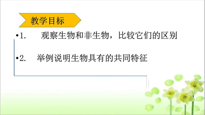 人教版七年级生物上册教学课件   1.1.1生物的特征05