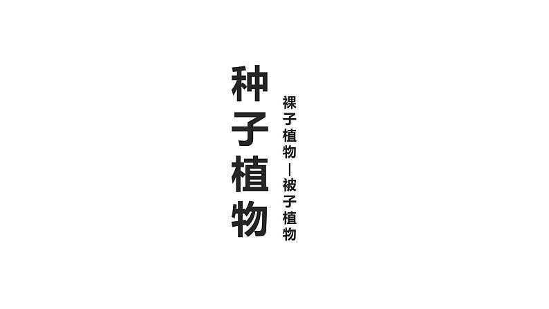 3.1.2 种子植物 课件 第二课时  2021——2022学年 人教版生物七年级上册第1页