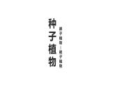 3.1.2 种子植物 课件 第二课时  2021——2022学年 人教版生物七年级上册