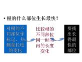 第三单元 第二章 第二节  植株的生长 课件 2021--2022学年人教版七年级上册生物