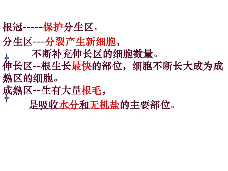 第三单元 第二章 第二节  植株的生长 课件 2021--2022学年人教版七年级上册生物08