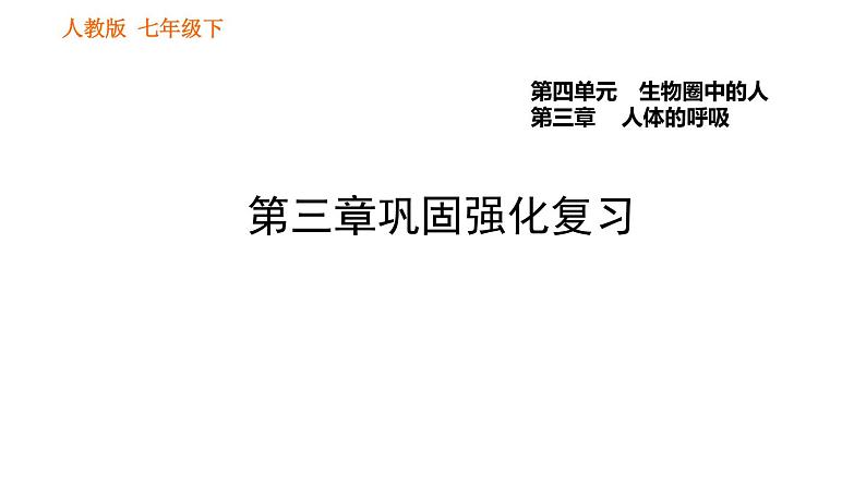 人教版七年级下册生物 第3章 第三章巩固强化复习 习题课件01