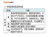 人教版七年级下册生物 第3章 第三章巩固强化复习 习题课件