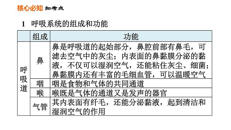 人教版七年级下册生物 第3章 第三章巩固强化复习 习题课件03