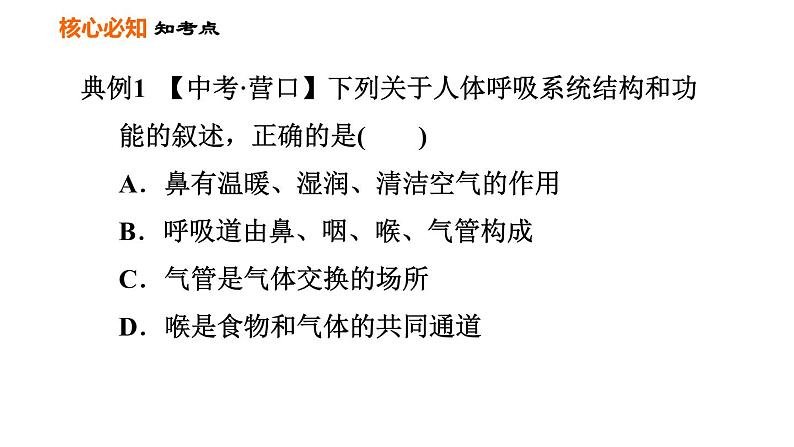 人教版七年级下册生物 第3章 第三章巩固强化复习 习题课件05