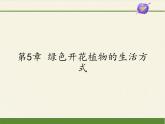北师大版生物七年级上册 7.1 绿色开花植物的生活方式（课件）