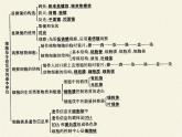 北师大版生物七年级上册 3.1 细 胞(1)（课件）