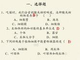 北师大版生物七年级上册 3.1 细 胞(1)（课件）