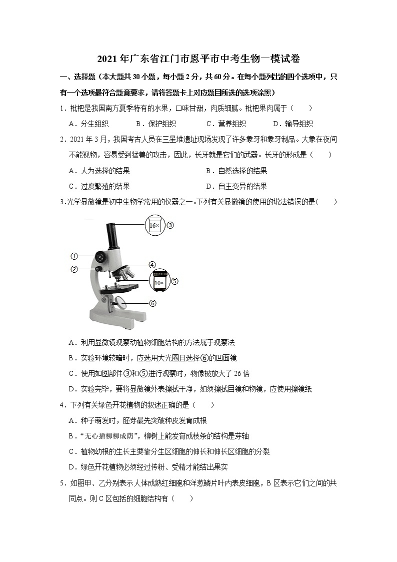 2021年广东省江门市恩平市中考生物一模试卷(解析版)01