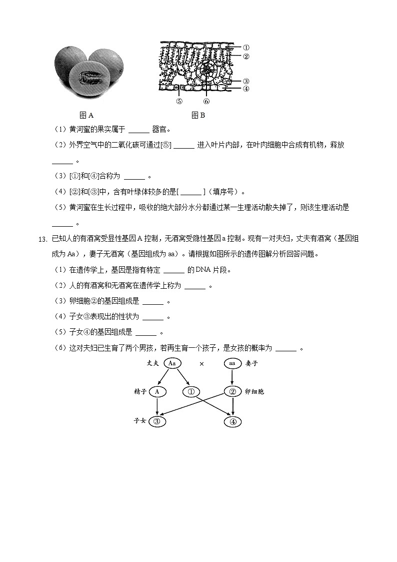 2021年甘肃省威武市、平凉市、庆阳市中考生物真题 （解析版）02