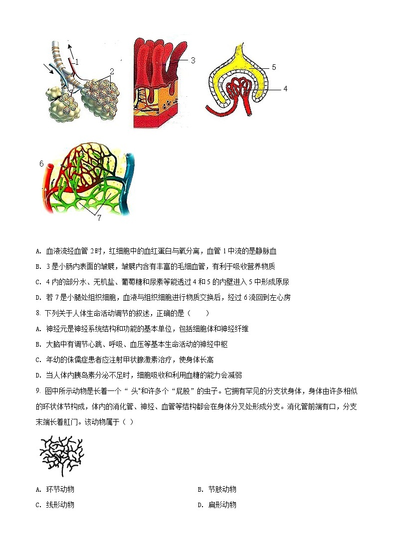 2021年山东省泰安市中考生物试题（原卷版）第3页