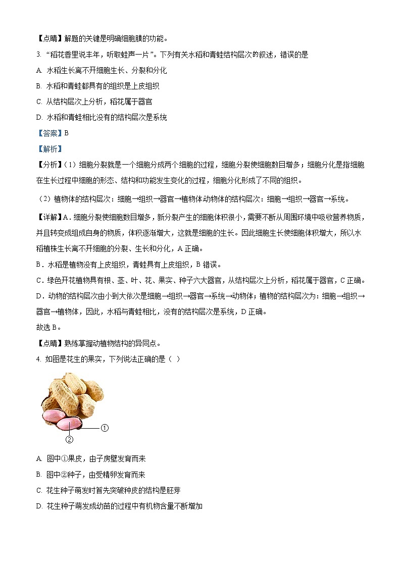 2021年山东省淄博市中考生物试题（原卷+解析）02