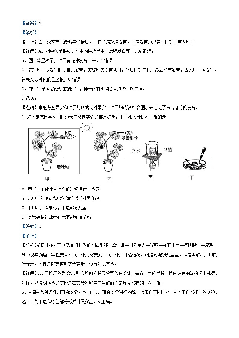 2021年山东省淄博市中考生物试题（原卷+解析）03