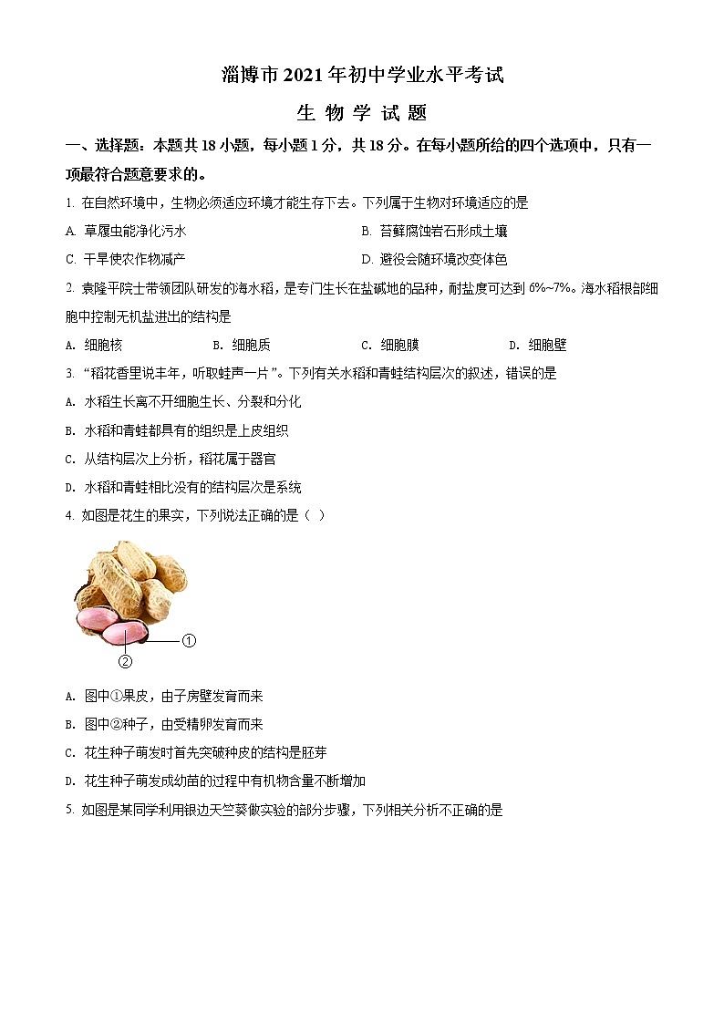 2021年山东省淄博市中考生物试题（原卷+解析）01