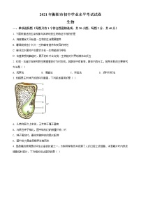 2021年湖南省衡阳市中考生物试题（原卷版）