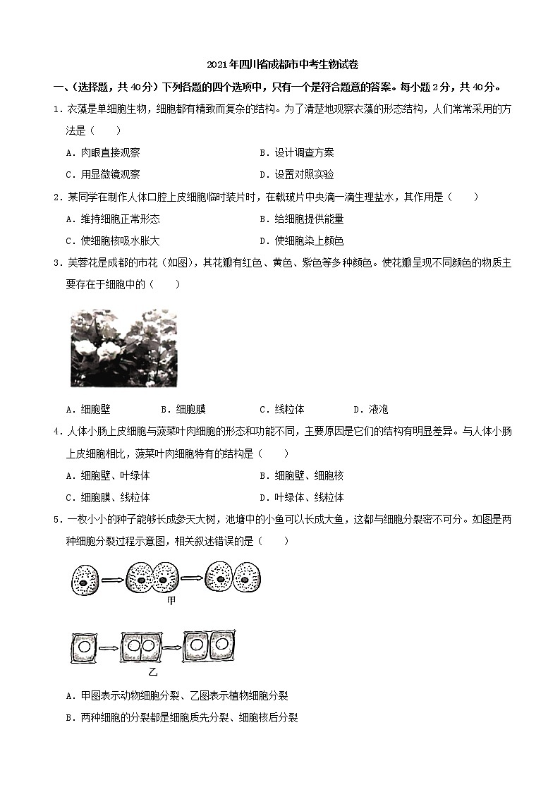 2021年四川省成都市中考生物真题（解析版）01