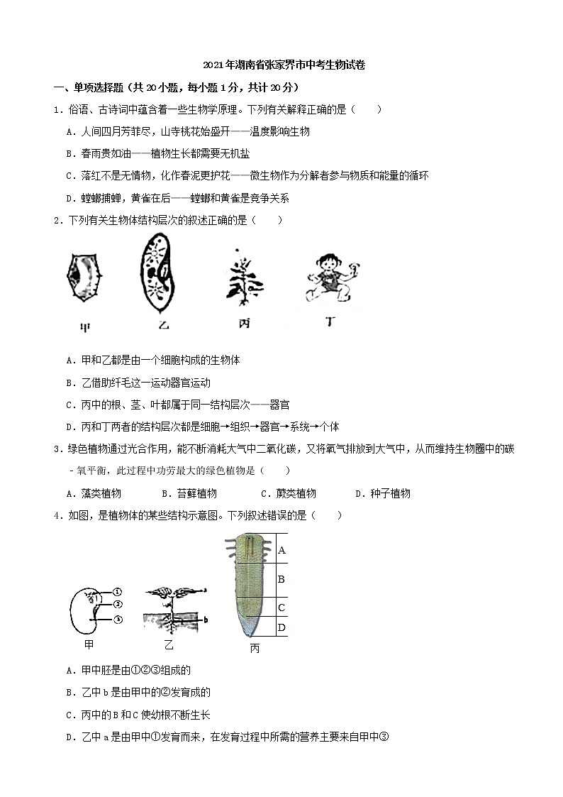 2021年湖南省张家界市中考生物试卷（解析版）01