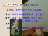 6.4植物的呼吸作用 课件  2021-2022学年苏教版七年级生物上册