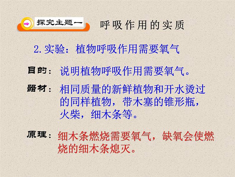 6.4植物的呼吸作用 课件  2021-2022学年苏教版七年级生物上册08