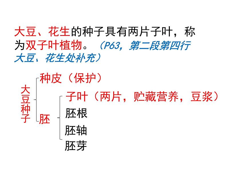 植物种子的萌发PPT课件免费下载08