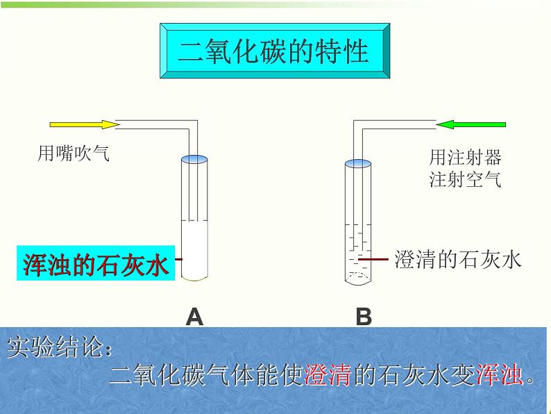 植物的呼吸作用PPT课件免费下载05