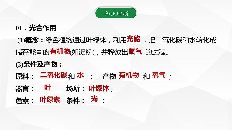 3.6.3 第三节 植物光合作用的实质  课件  2021-2022学年苏教版七年级生物上册第2页