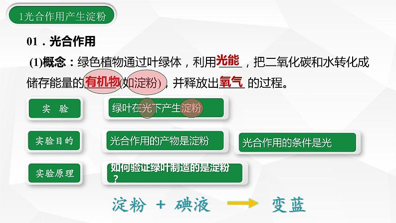 3.6.3 第三节 植物光合作用的实质  课件  2021-2022学年苏教版七年级生物上册第3页