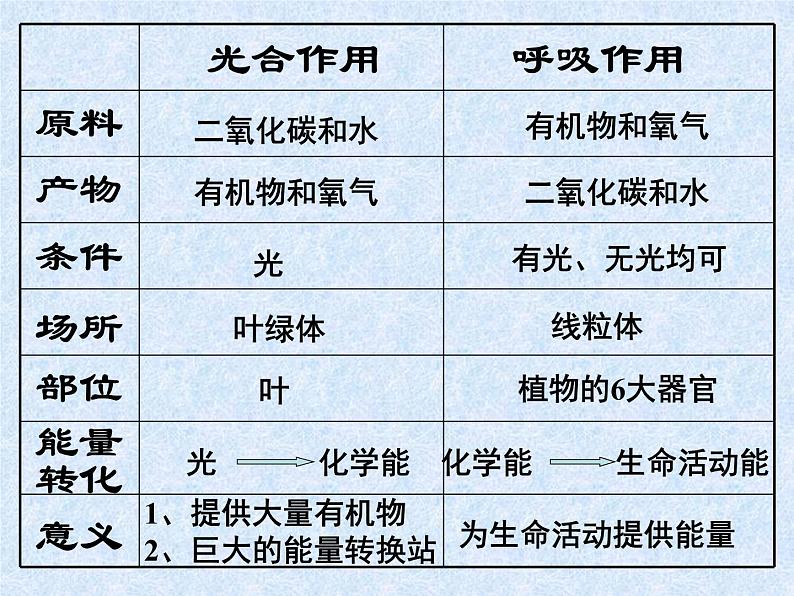 6.5 光合作用和呼吸作用原理的应用-【精准备课】2021-2022学年七年级生物同步备课优质课件（苏教版）02